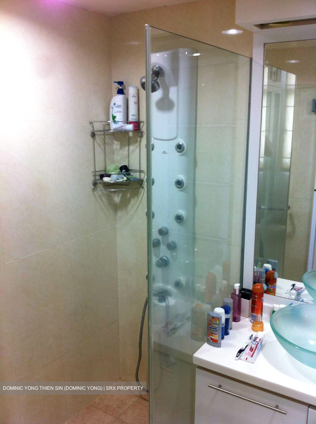 Mandarin Gardens (D15), Condominium #559847381